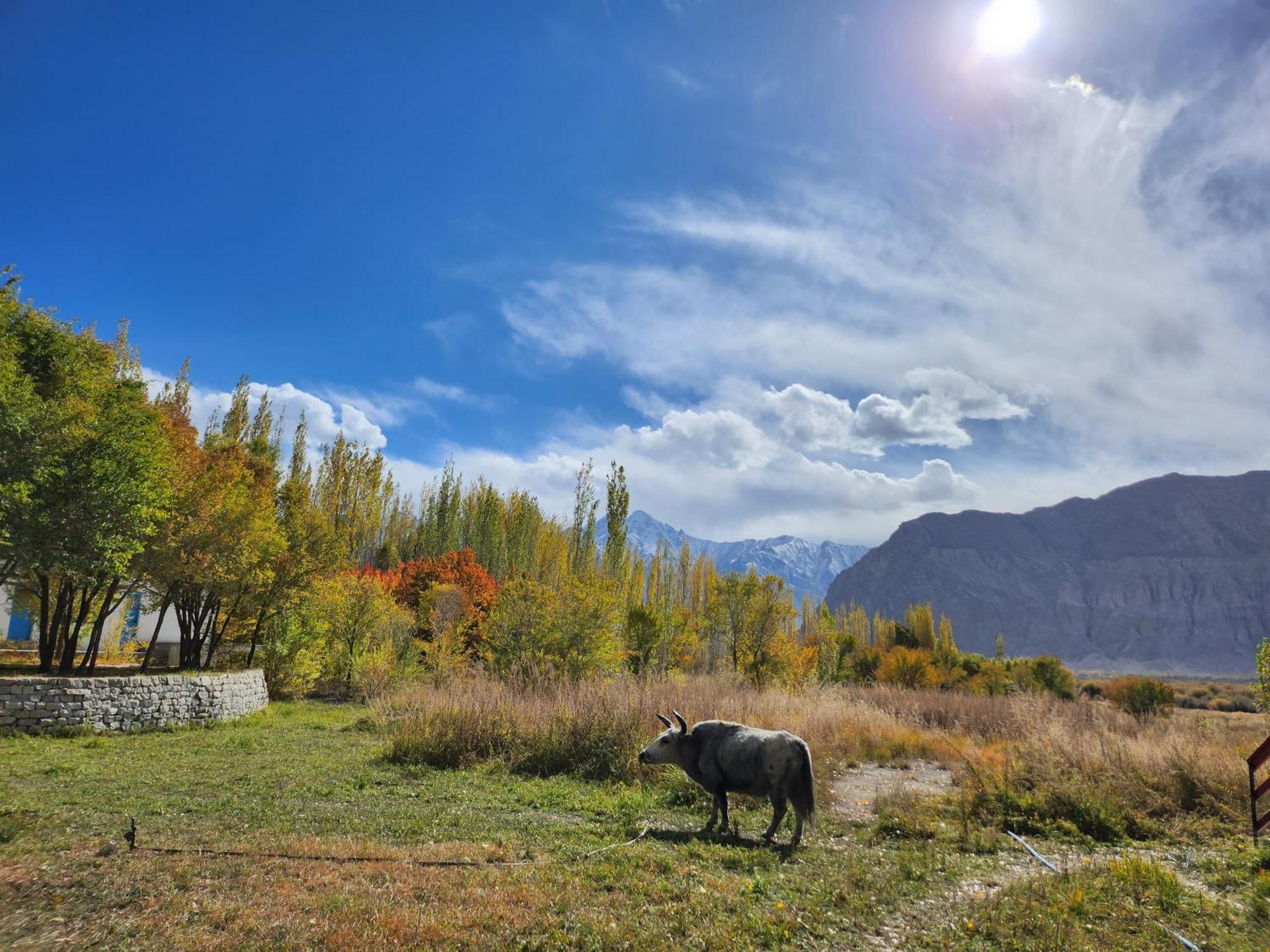 Lharimo Hotel Leh - Ladakh Exterior photo