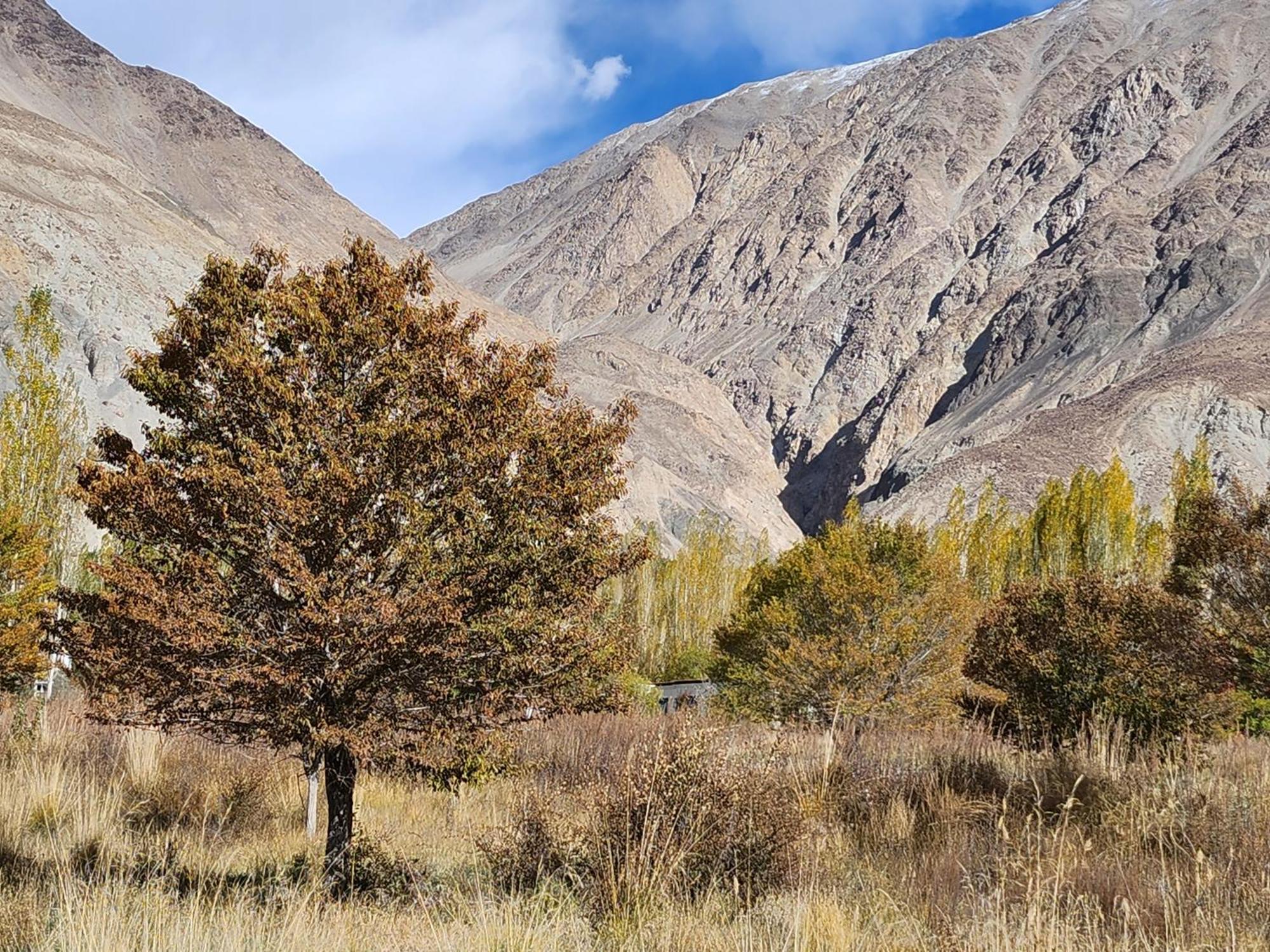 Lharimo Hotel Leh - Ladakh Exterior photo